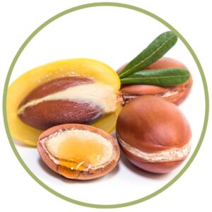 Bio arganový olej z Maroka - Herbes et Traditions