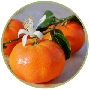 Bio éterický olej Mandarinka červená, Citrus reticulata