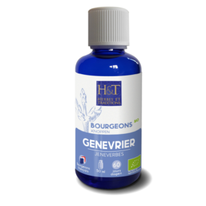 bio tinktura z pupenů | gemmoterapie | jalovec obecný