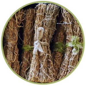 Bio éterický olej Vetiver, lat. Vetiveria zizanioides