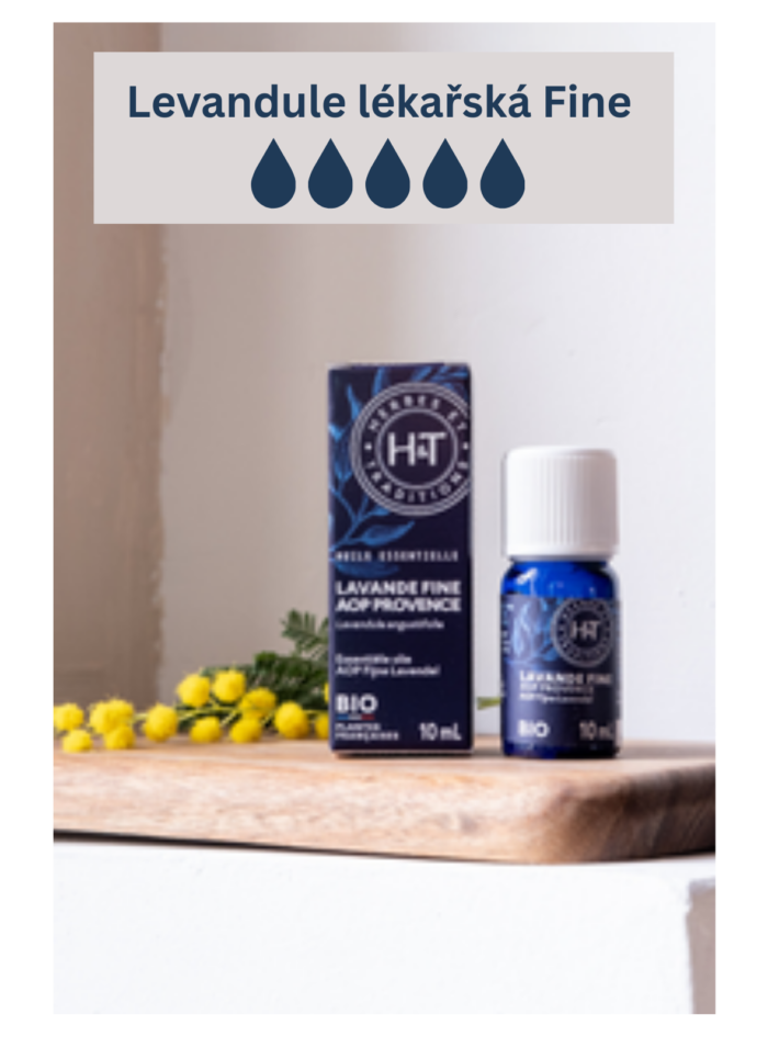 Blog aromaterapie Byliny a Tradice - relaxační masáž s esenciálním oleji - Levandule lékařská